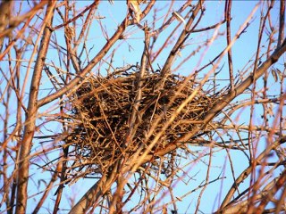 Antepten Öte - Latif Doğan (2012)