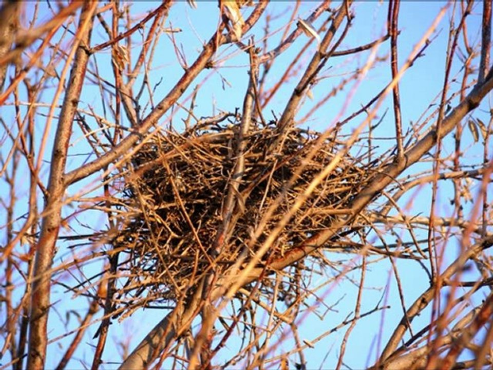 Antepten Öte - Latif Doğan (2012)