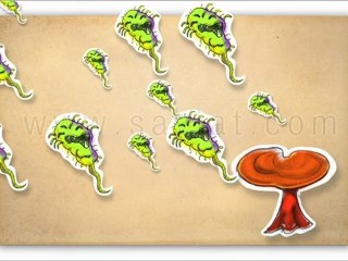 ¿Qué es el Ganoderma?