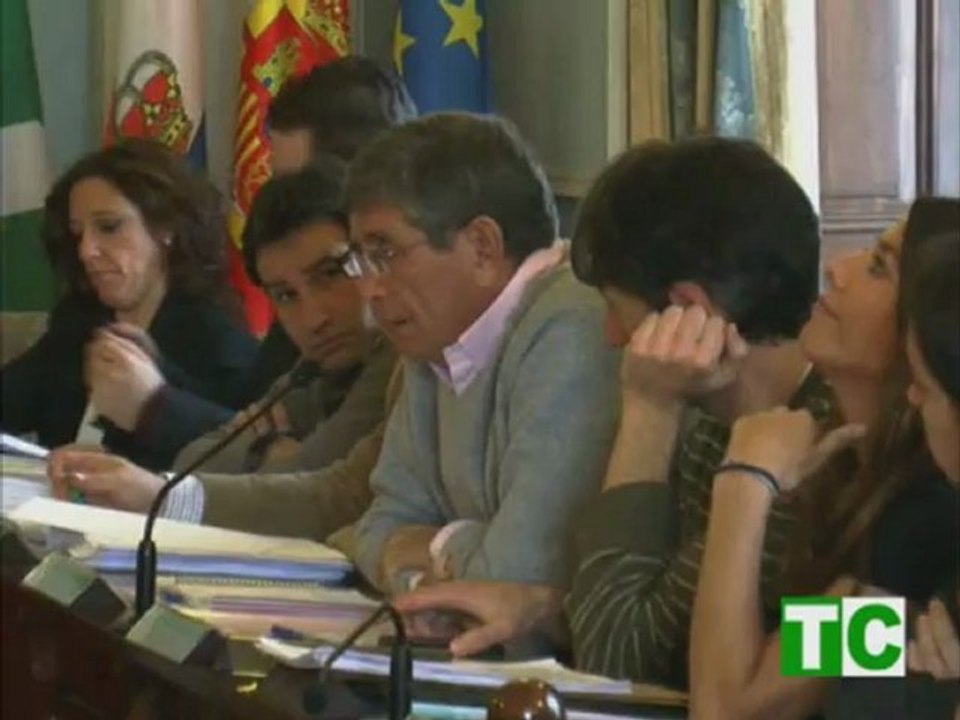 20111107 Pleno de Noviembre5