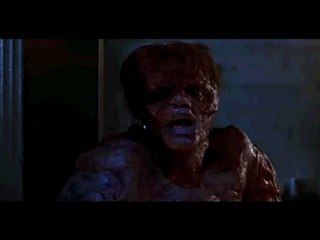 La Mouche (The Fly) - Le Best Of