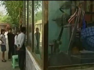 Riz Khan - Street Talk - 21 May 07