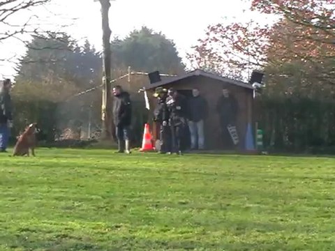 Demon: saut de haie, Ring 1