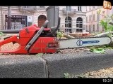 75 gendarmes pour protéger l'arrachage d'arbre (Nîmes)