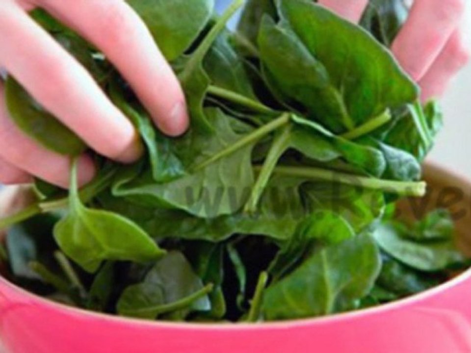 PLANTAS MEDICINALES PARA LA DIABETES