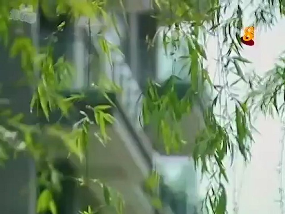 A Mobile Love Story - 12