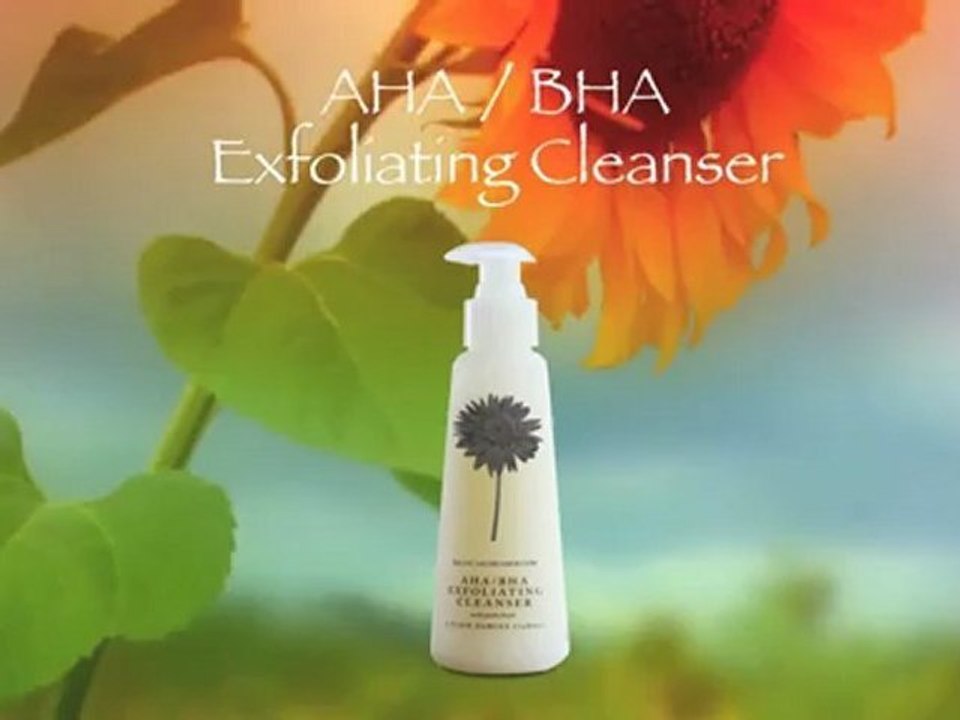 AHA_BHA_Exfoliating Cleanser