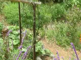 les andes sous un autre angle