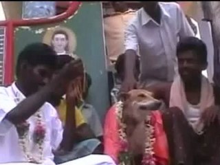 Riz Khan - Street Talk - 19 Nov  07