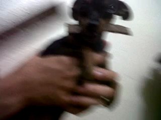 Fofa...devolve Para NOOSSA ALEGRIA!!!