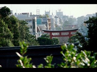 kamakura 　鎌倉　鶴岡八幡宮　Tsurugaoka Hachimangu Shrine