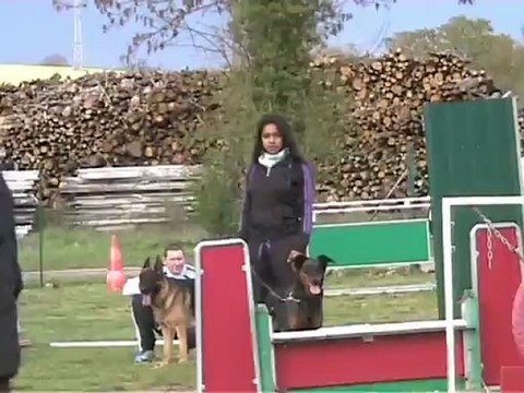 entrainement agility avril 2012