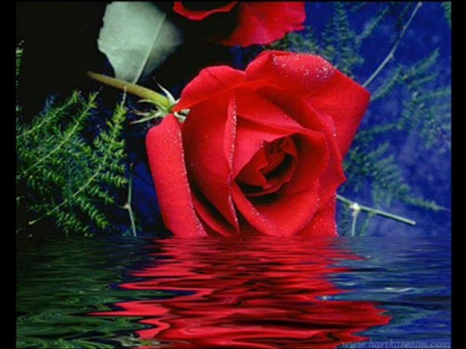 Uğur Işılak Aşkım Sana Emanet - İlkSesli.Com, Www.ilkSesli.Com, ilksesli.com NujeN, LoRaN, Buğdaytanesi