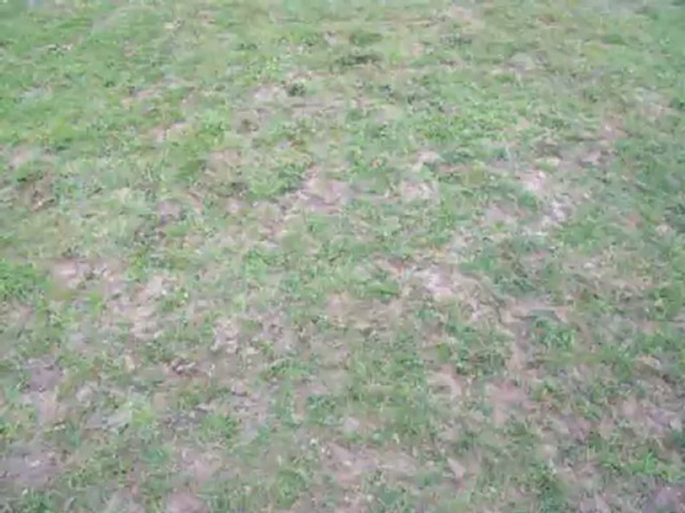 Kelenn marche trotte à pied