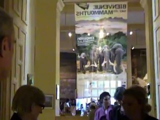 New01.mpg  Mahmmouth  2010