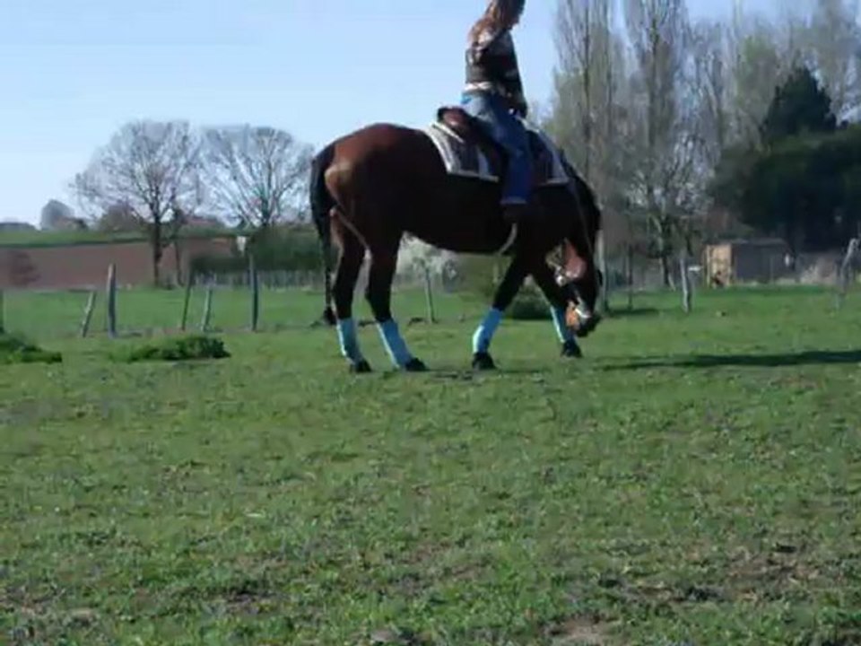 Essai de pivots sur les postérieurs