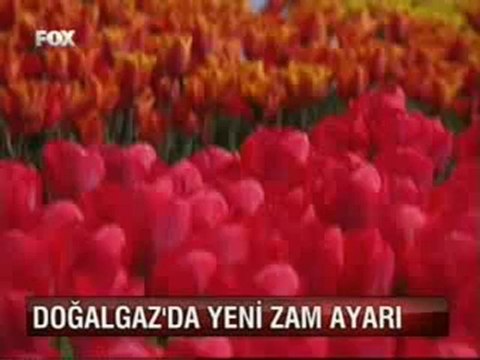 Fox 13 prt2 N WWWOLAYWEBCOM