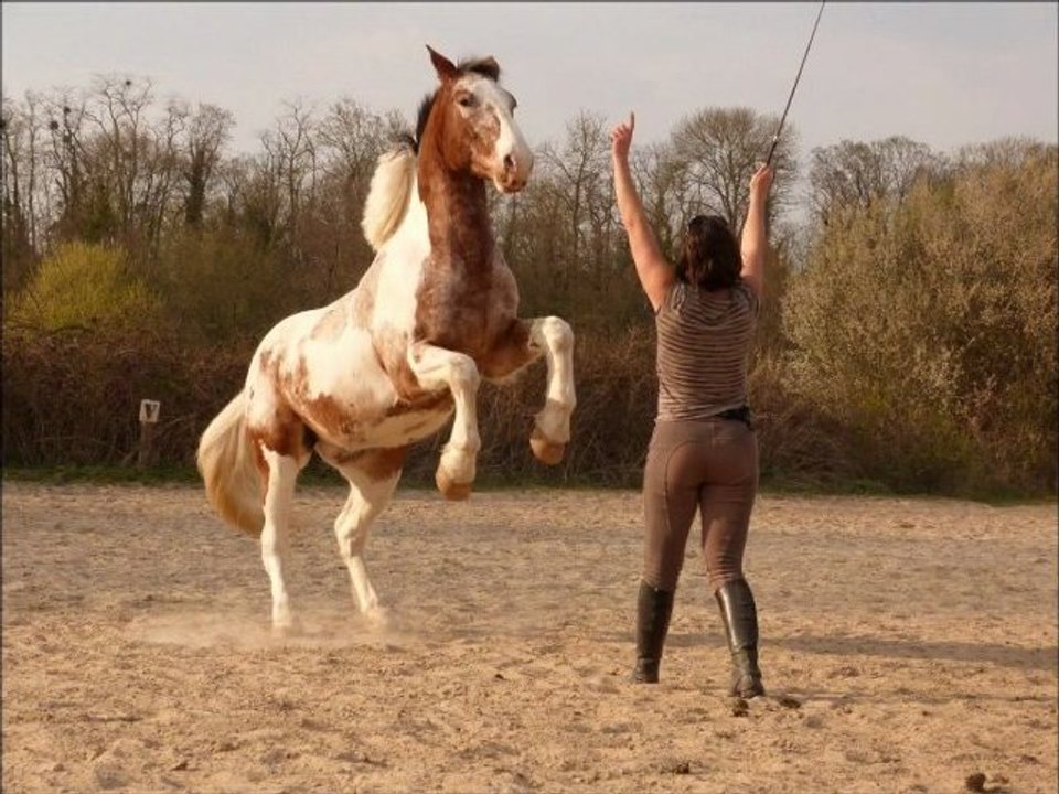 seance du 03.04.12