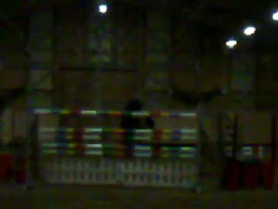 puissance de Noel Reitwiller