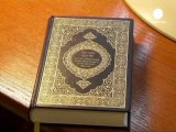 Offresi Corano nelle piazze tedesche