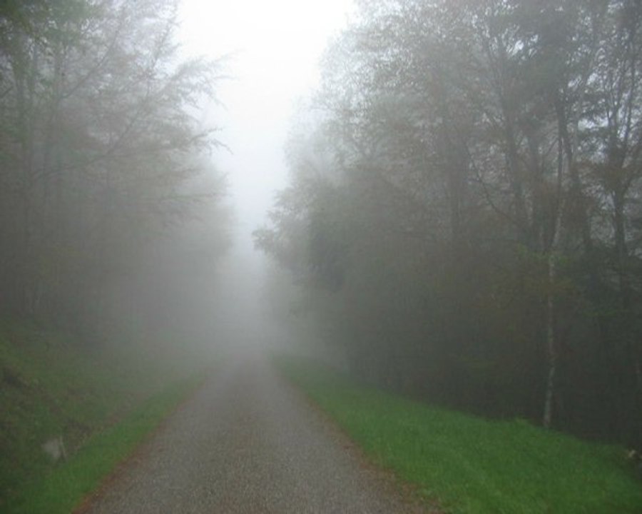 AZA 2010 18ème ballade de printemps