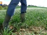 Retour de la sècheresse : inquiétude des agriculteurs