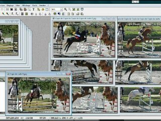 Tutoriel de gif animé.