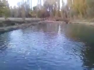 Alabalık Yemleme-Taner Kaya tarafından