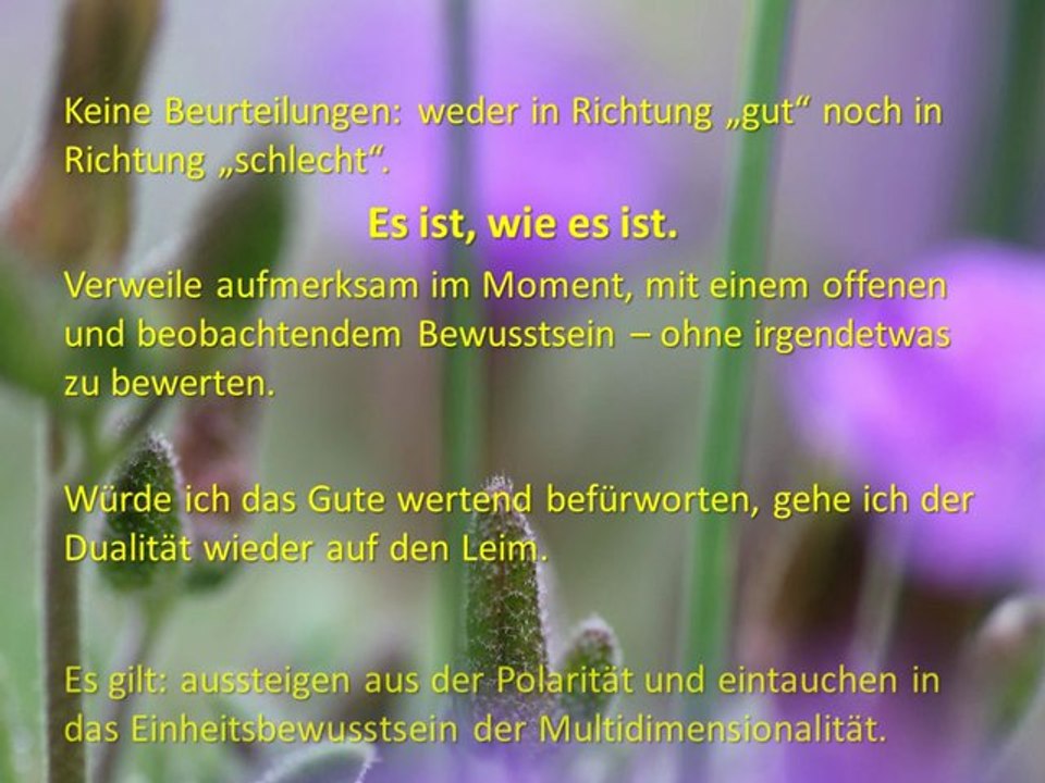 Bewusstseinserweiterung 2 - Beurteilungen