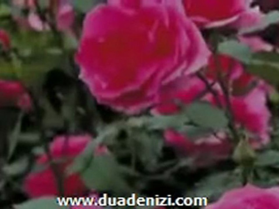 Hayri Küçükdeniz - Necid Çöllerinde Orjinal Klip - DuaDenizi.Com