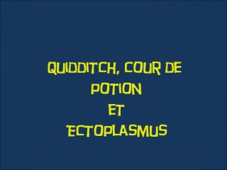 Harry Potter et la chambre des secrets (02) Quidditch, potion et Ectoplasmus