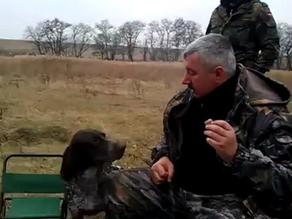 Good doggy
