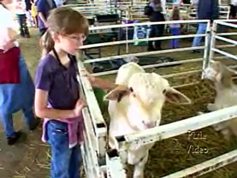 Let's Visit The Royal Winter Agricultural Fair