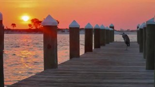 the natural beauty of the gulf coast