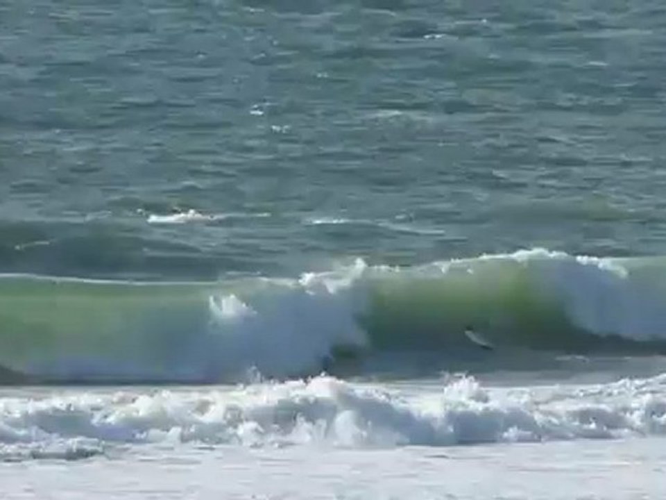 Samedi 14 Avril - Surf report vidéo 19H30