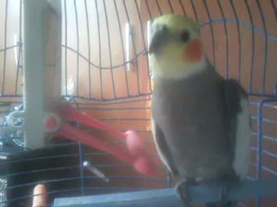Video0111