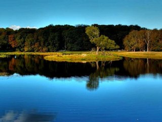Buddhism Music wonderful Tibetian music OM MANE PEME HUM 1 [with download link]