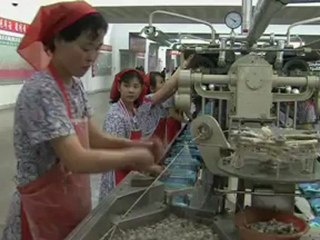 A rare look into North Korea