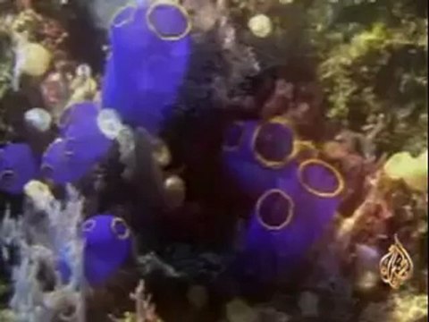 عن كثب - الاحتباس الحراري - قلة الحركة واثرها على الدماغ