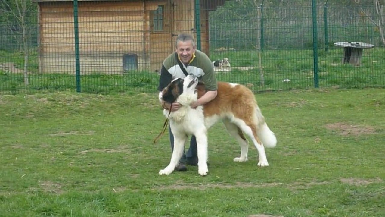 Samedi 14 avril à Beauregard