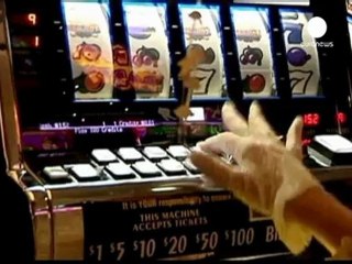 Un crucero conmemora el hundimiento del Titanic