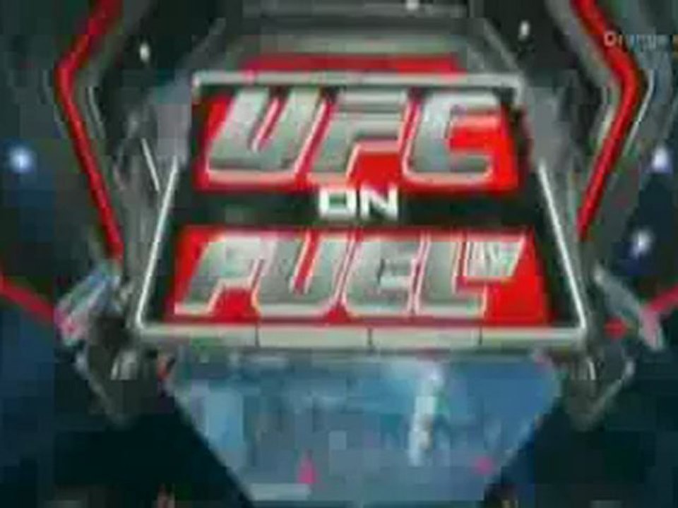 Brian Stann vs Alessio Sakara fight video