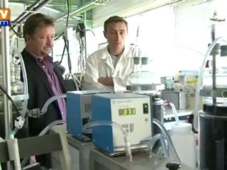 Les algues pourraient devenir notre prochain biocarburant