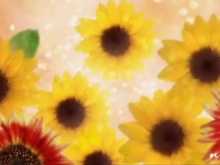 Suavi   "MAVİ KANATLI UÇURTMAM"