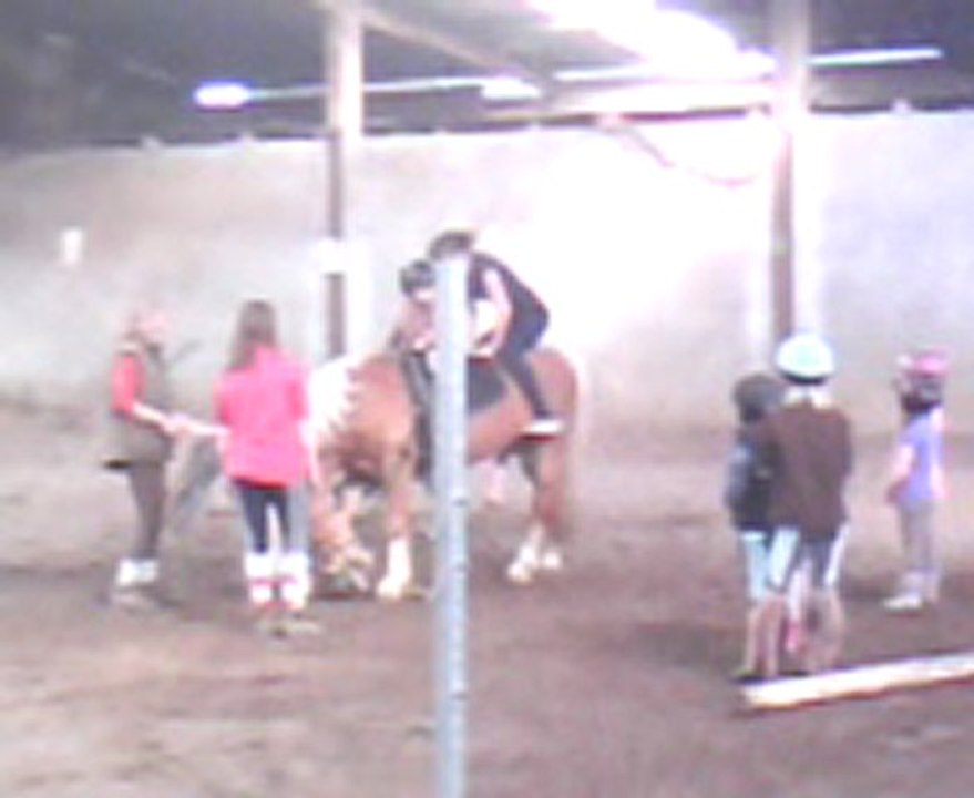 dwitte en voltige