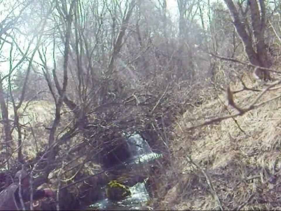 video peche de la truite en petit ruisseau