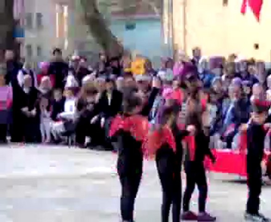 Ateşböcekleri sinop