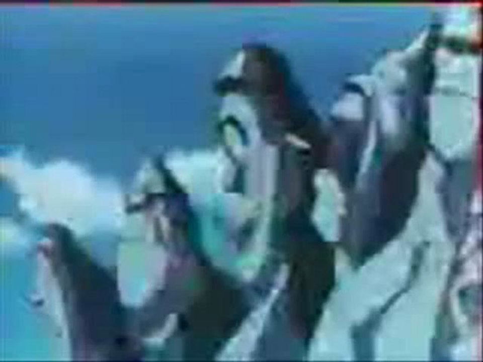 Biniky le Dragon Rose