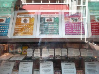 Murchos-Eurotrip 2011