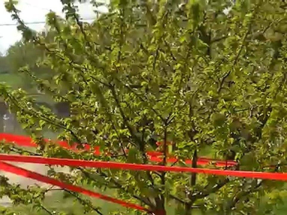 rallye lyon  charbonnieres 2012 ES1 bessenay petite faute d'une 206 WRC